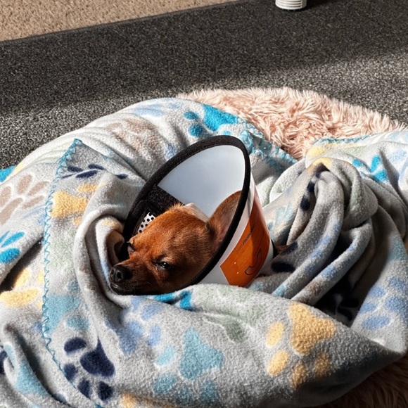 Meet Your Posher - Picture 10 of 16